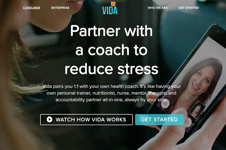 Vida Health Coach